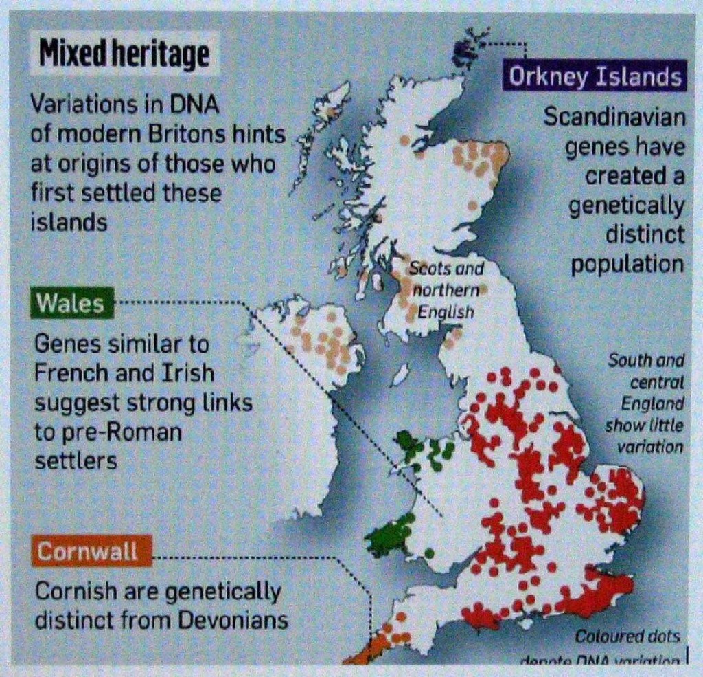 cornish_dna